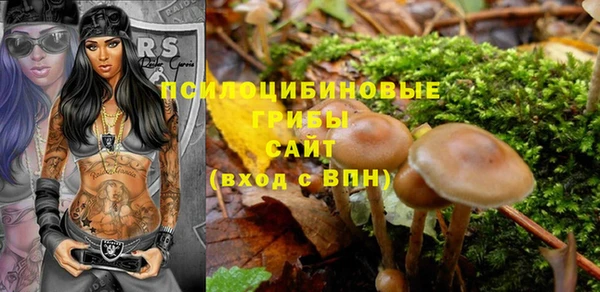 Альфа ПВП Краснослободск