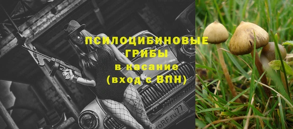 Альфа ПВП Краснослободск